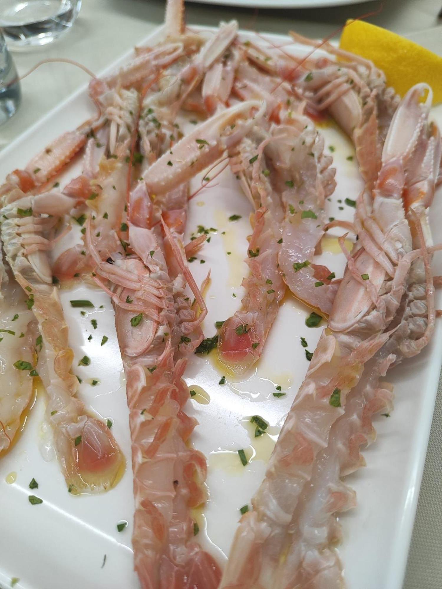 Montecilfone Rimir Hotel & Centro Benessere מראה חיצוני תמונה